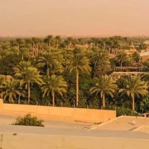 Tour To The Newest Saqqara Tombs and Having L...