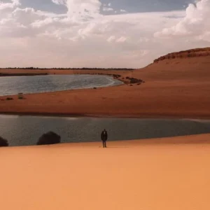 El Fayoum and Wadi El Rayan Day Tour From Cairo