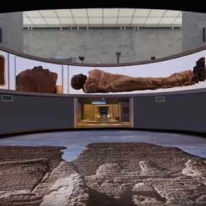 Half Day Tour to The National Museum of Egyptian Civilization
