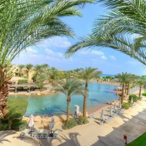 Day Trip At The Red Sea At Stella Di Mare