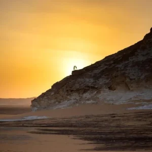 2 Days White Desert and Bahariya Oasis Campin..